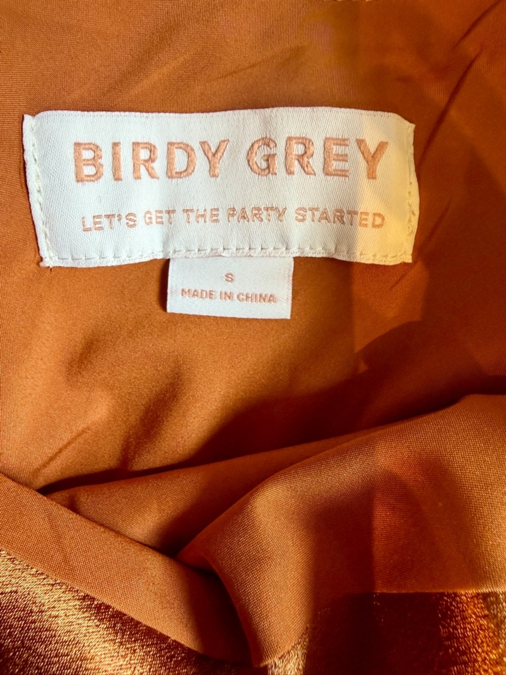 Birdy Grey Women’s Lisa Long Satin Rust Color  Sleeveless Dress Size Small - Picture 8 of 10